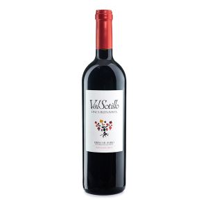 Bodegas Ismael Arroyo ValSotillo Finca Buenavista bottle